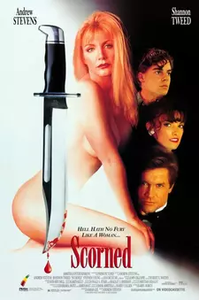 Глумление / Падшая женщина / Scorned / A Woman Scorned (1993)