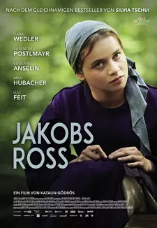Когда поёт душа / Jakobs Ross (2024)