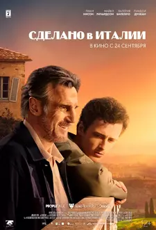 Сделано в Италии / Made in Italy (2020)