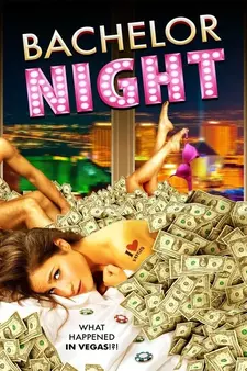 Холостяцкая вечеринка / Вечеринка в Вегасе / Bachelor Night (2014)