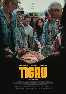 День тигра / Tigru / Day of the Tiger (2023)