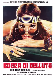 Анита. Дневник девушки-подростка / Anita (1973)