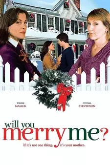 Давай поженимся / Will You Merry Me (2008)