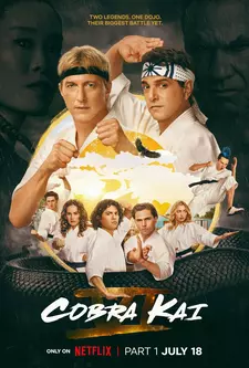 Кобра Кай / Cobra Kai (Сериал 2018 – 2025) [Все сезоны]
