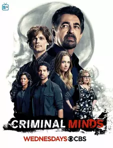 Мыслить как преступник / Criminal Minds (Сериал 2005 – ...) [Все сезоны]