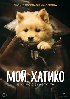 Мой Хатико / Zhong quan ba gong (2023)