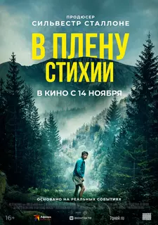В плену стихии / Lost on a Mountain in Maine (2024)