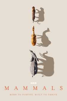 Млекопитающие / Mammals (Мини–сериал 2024)