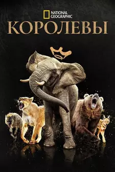 National Geographic. Королевы / Queens  (Сериал 2024)