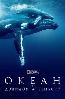 Дэвид Аттенборо: Океан / Океан с Дэвидом Аттенборо / Ocean with David Attenborough (2025)