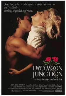Слияние двух лун / Two Moon Junction (1988)