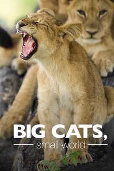 Большие кошки, маленький мир / Big Cats, Small World (Сериал 2024)