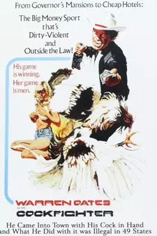 Бойцовский петух / Cockfighter (1974)
