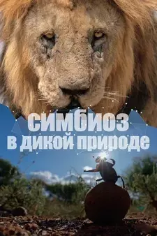 Симбиоз в дикой природе / Connection (Мини–сериал 2023)