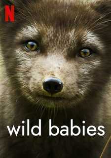 Детки не в клетке / Wild Babies (Сериал 2022)