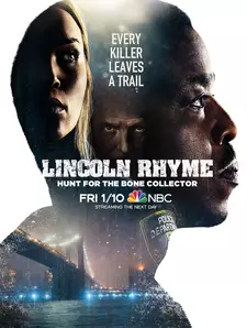 Линкольн Райм: Охота на Собирателя костей / Lincoln Rhyme: Hunt for the Bone (Сериал 2020)