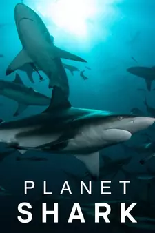Планета акул / Planet Shark (Сериал 2022)
